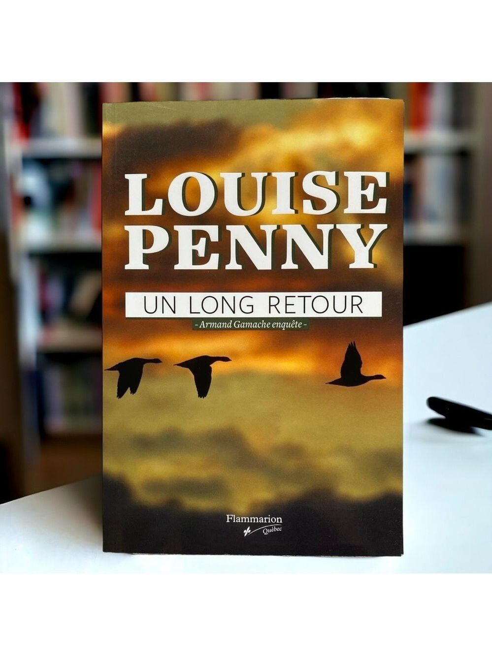 3📚/$25 📍 Un long retour
Roman de Louise Penny
